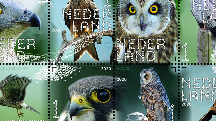 Experience nature – birds of prey and owls