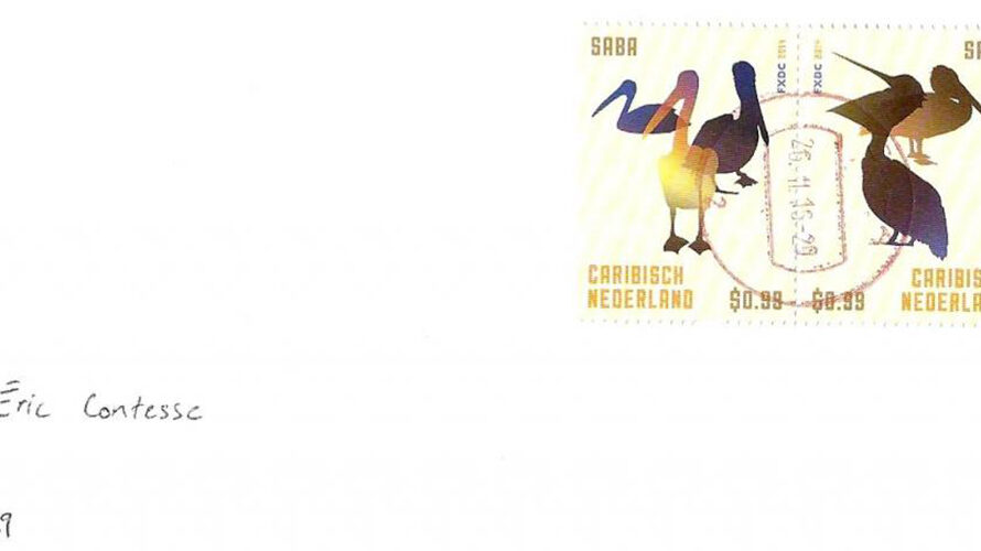 Brown pelicans on cover from the island of Saba!