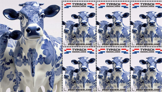 Typically Dutch – cows