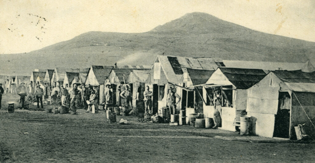 Postcard from St. Helena: Boer Prisoners in Blikjesdorp and Dutch Sympathy, 1902